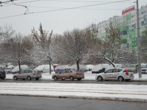 Taxisetika