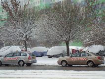 Taxisetika